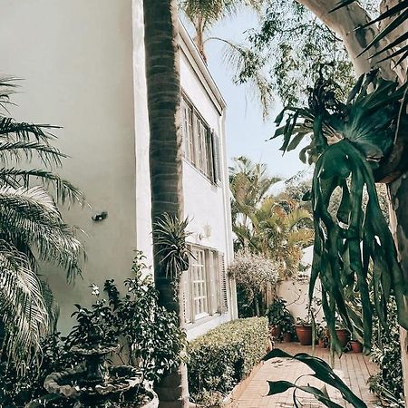 פרטוריה Battiss Guest House מראה חיצוני תמונה